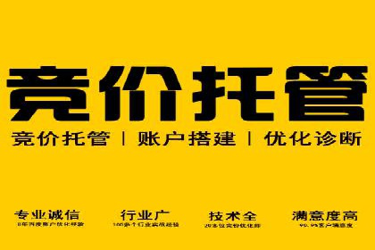 百度竞价代运营的成功案例：从零到一的突破